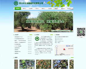 �Ĵ���������魿������޹�˾����׼�棩