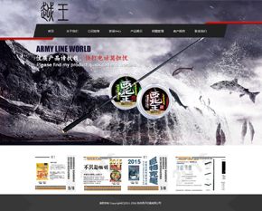 �������ӵ������޹�˾(��׼��)