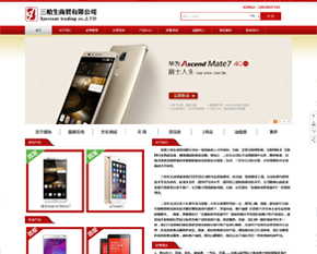 ������������ó���޹�˾���߼��棩